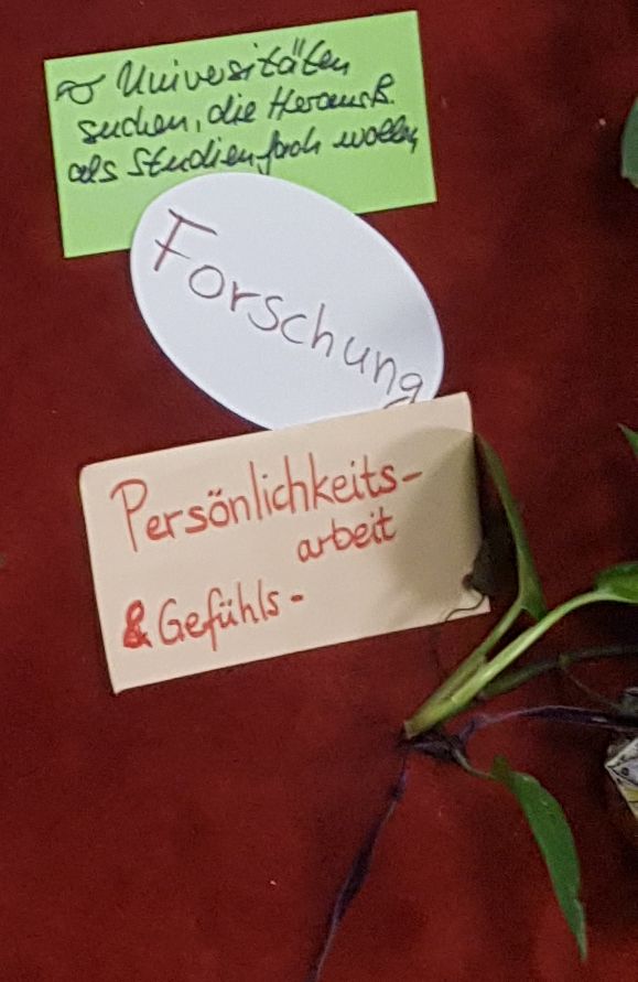 windberg_forschung